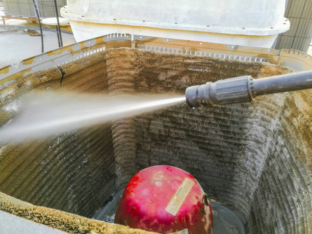 Best Air Duct Mold Removal  in Webster City, IA