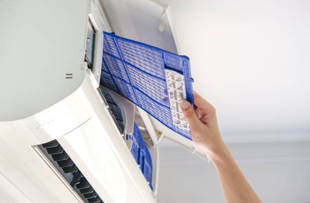 Best Affordable Duct Cleaning Services  in Webster City, IA