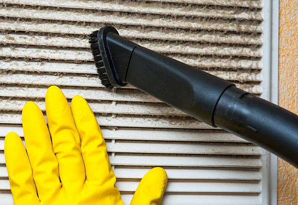 Air Duct Mold Removal in Webster City, IA
