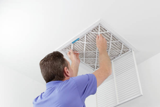Best HVAC Air Duct Cleaning  in Webster City, IA